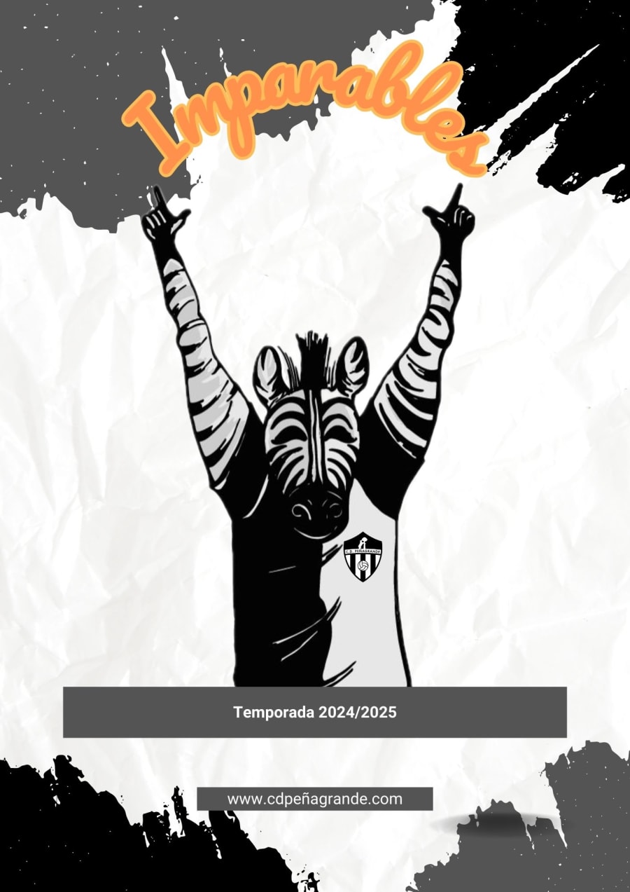 En este momento estás viendo PRESENTACIÓN DE LA TEMPORADA 2024/2025 DE NUESTROS PROYECTOS DE INTERVENCIÓN SOCIAL